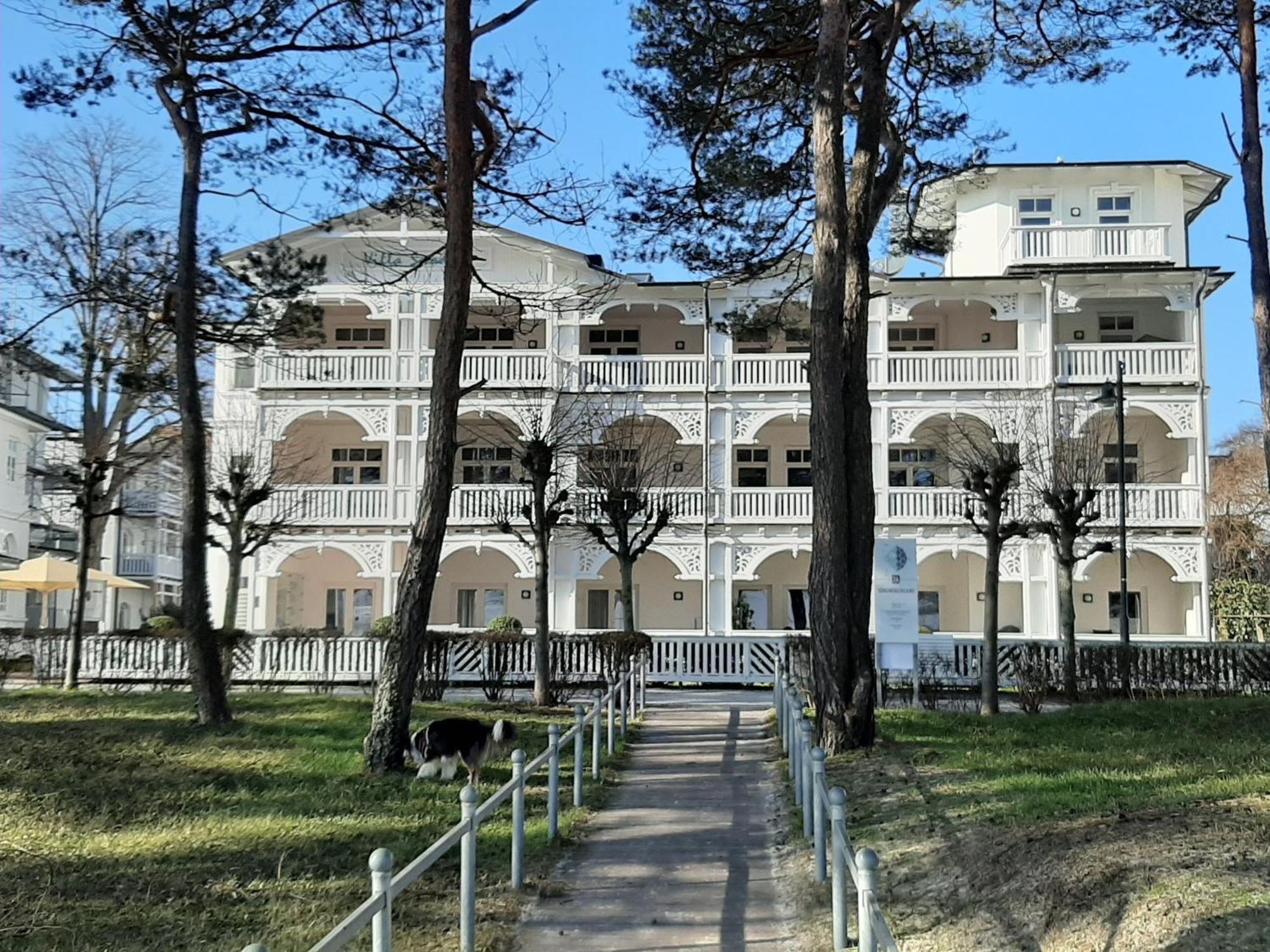 Ferienwohnung Ostseeblick In Der Villa Seeadler بينز المظهر الخارجي الصورة